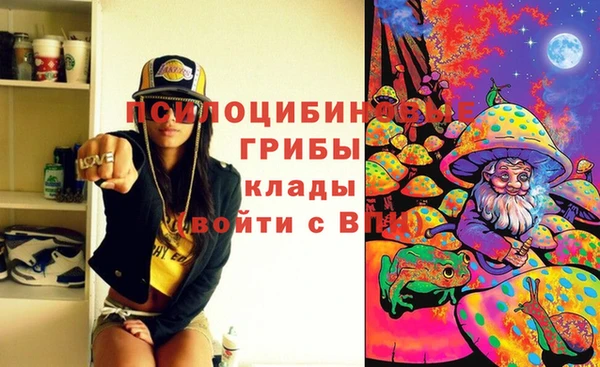 шишки Киреевск