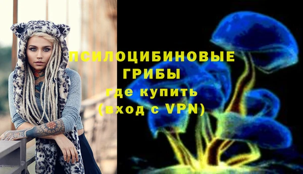 шишки Киреевск